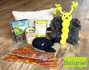 Preview: Last Minute - dein Hund ist unsere Passion